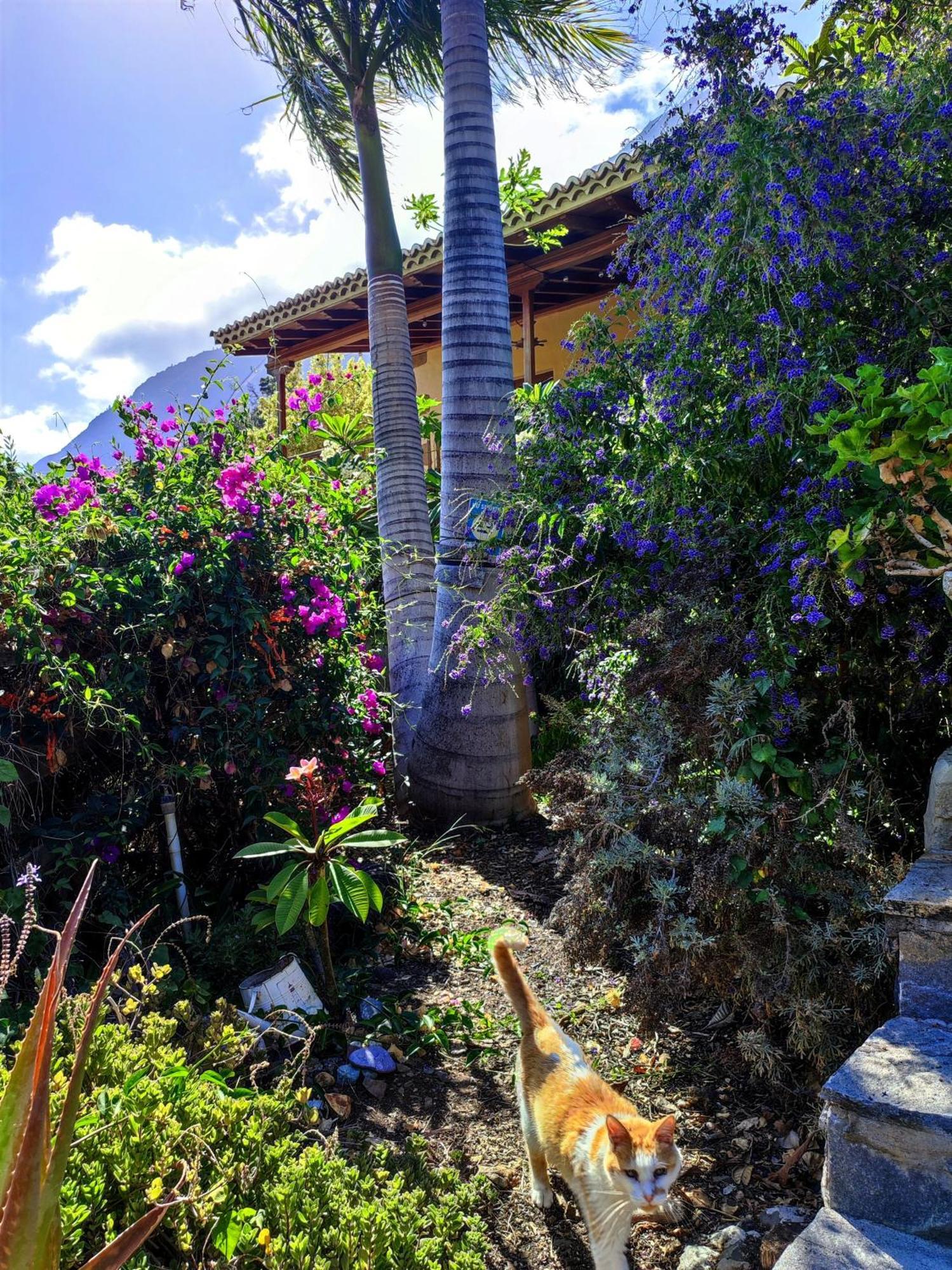 Rivendell Eco Lodge 엘파소 외부 사진